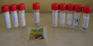 Lyophilized ENZYMES (Pectinase, cellulose, Phytase, Amylase, Glucomaylase, Protease)
